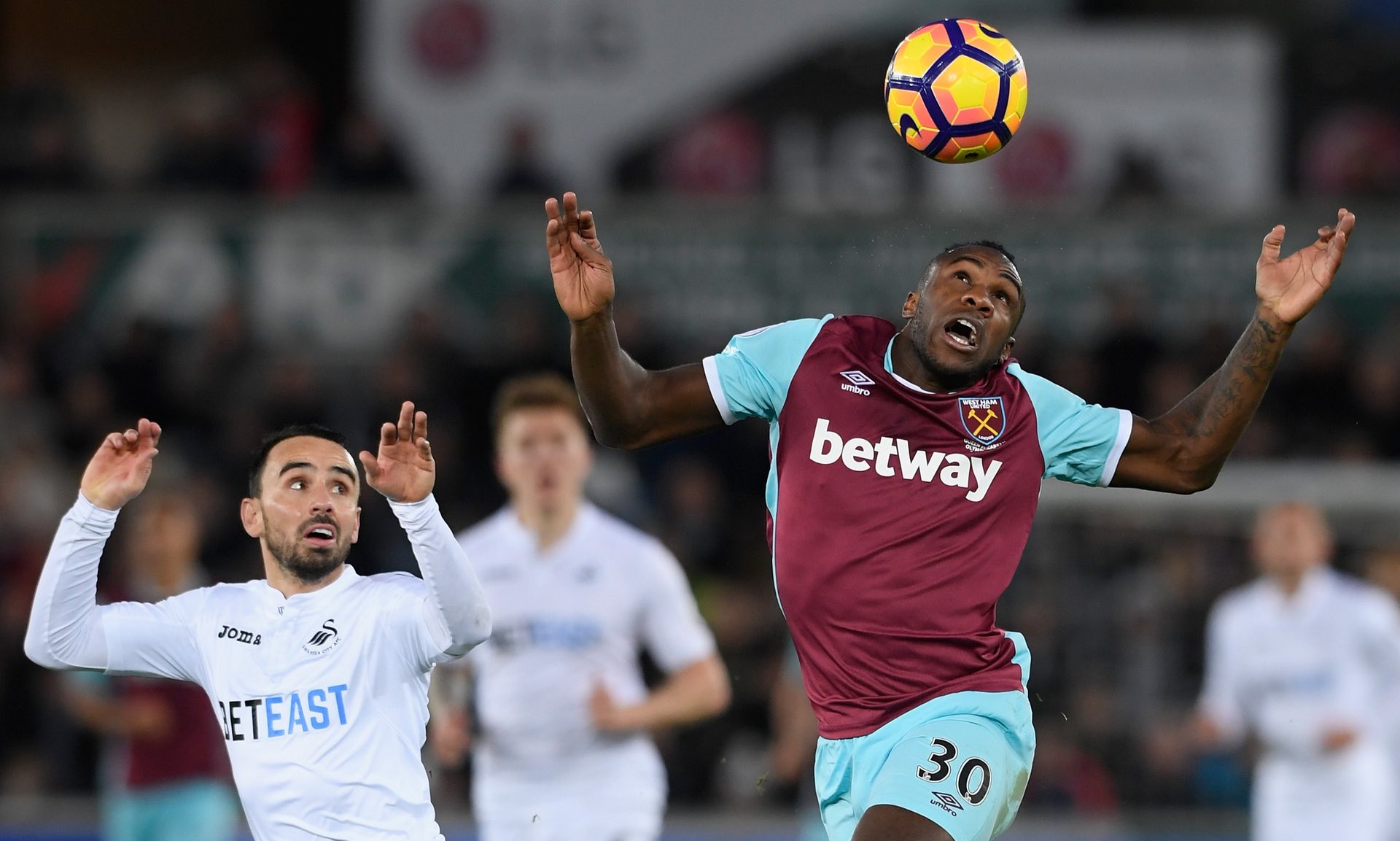 多年的努力 多年的努力